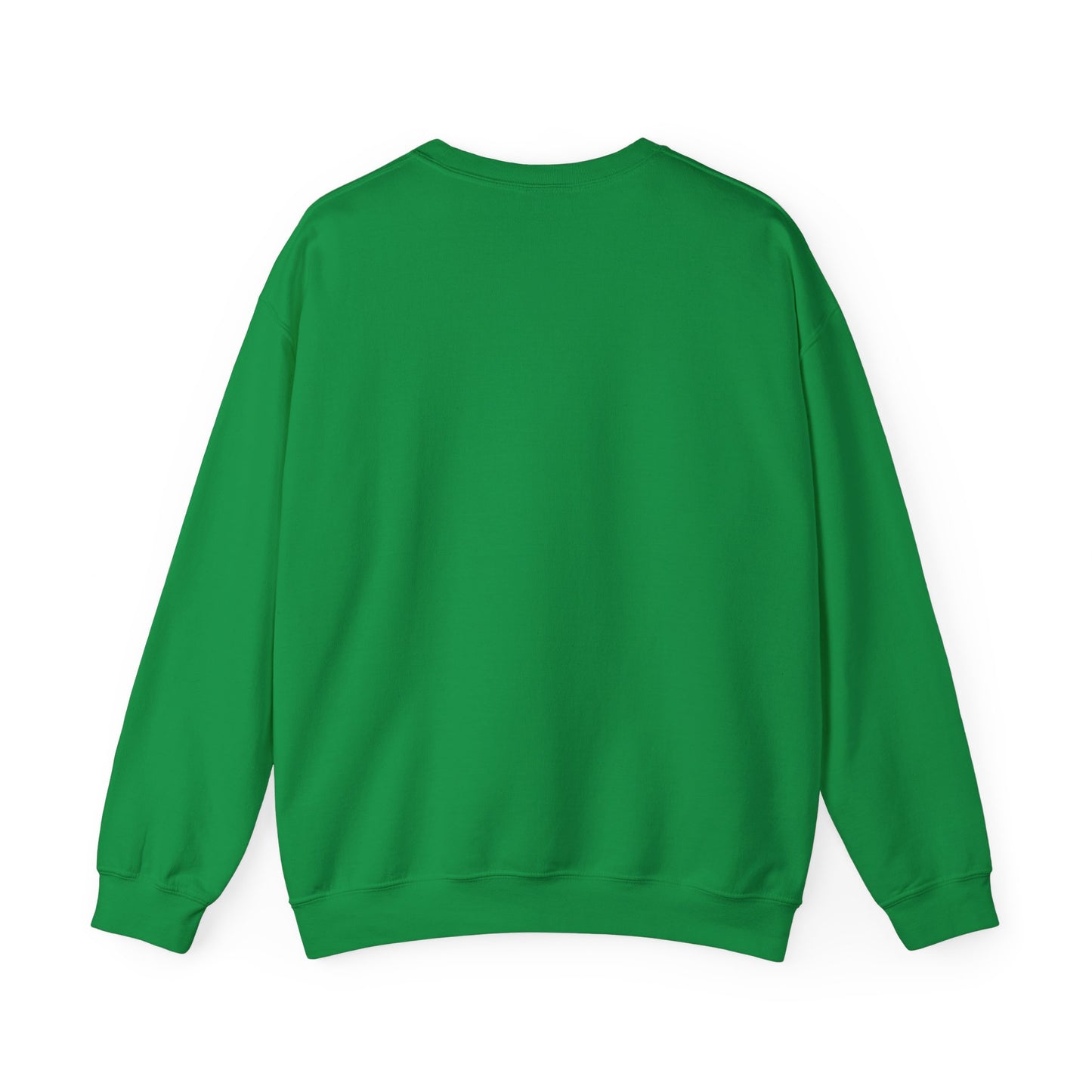 Antiy Sweatshirt